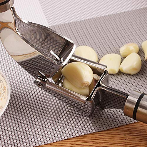 Triturador de alho higiênico, espremedor de alho, não é fácil de ferrugem Alho manual de espremedor
