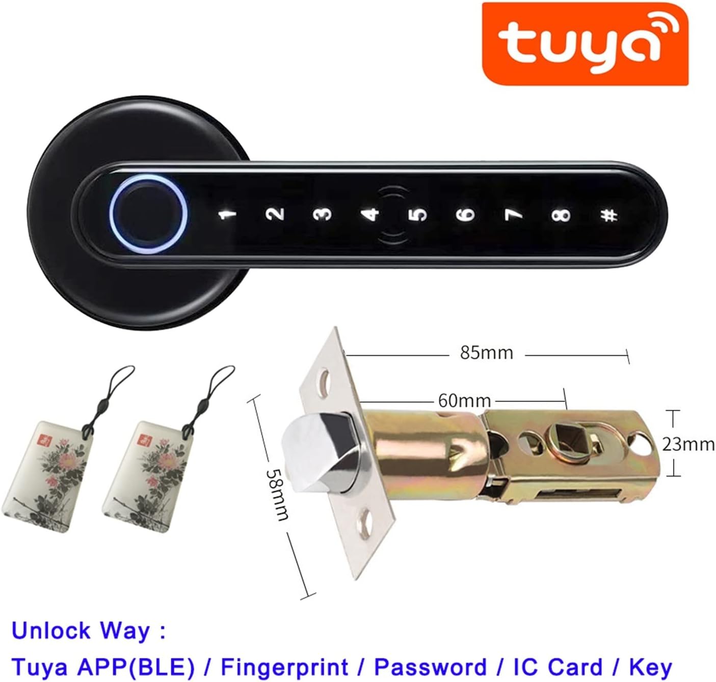 自然な貝殻形状の水鉢 めだかの館オリジナル一品物手作りメダカ鉢 メダカ