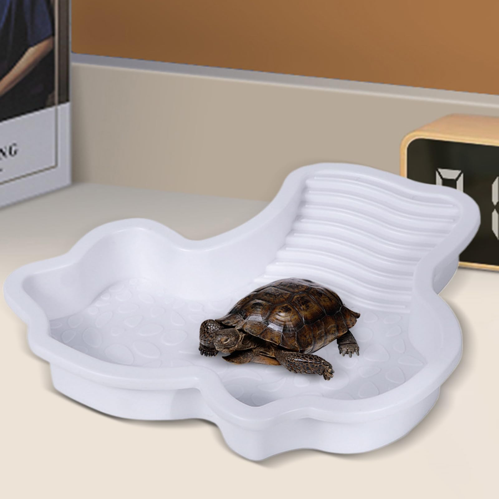 Ciotola Per Tartarughe Con Rampa Antiscivolo – Accessorio In ABS Per Acquari E Terrari, Per Rettili E Granchi, 35x31x7cm