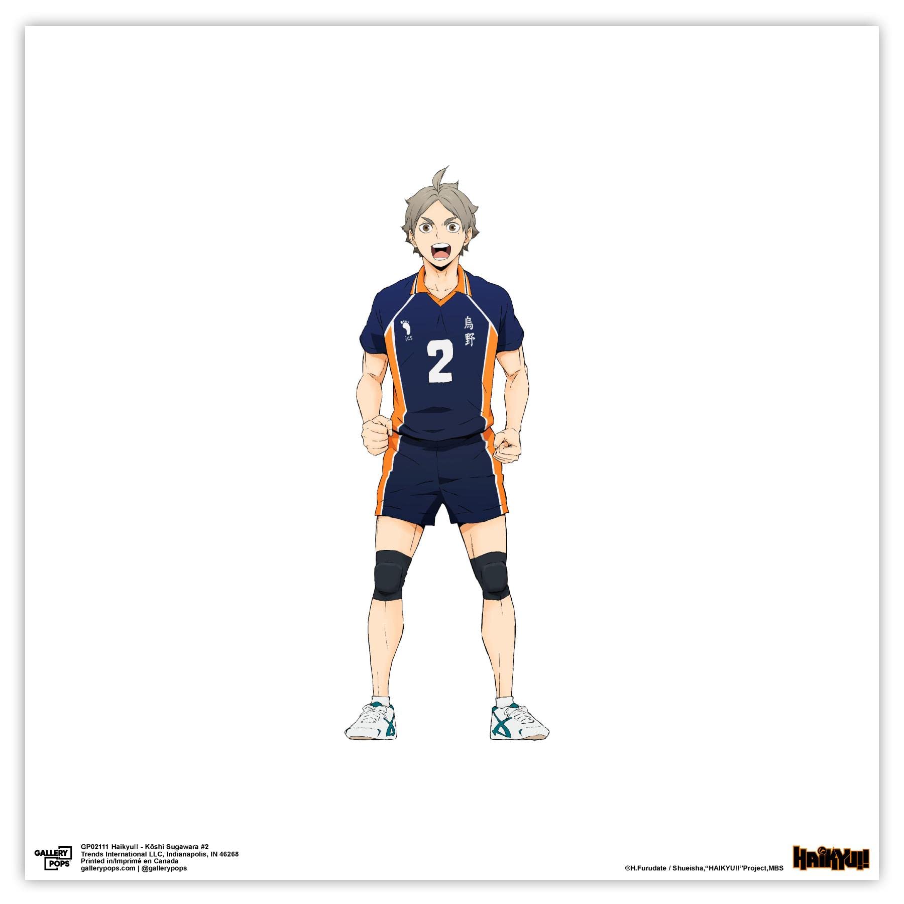 Amazon.com: Trends International Gallery Pops Haikyu!! - Koshi