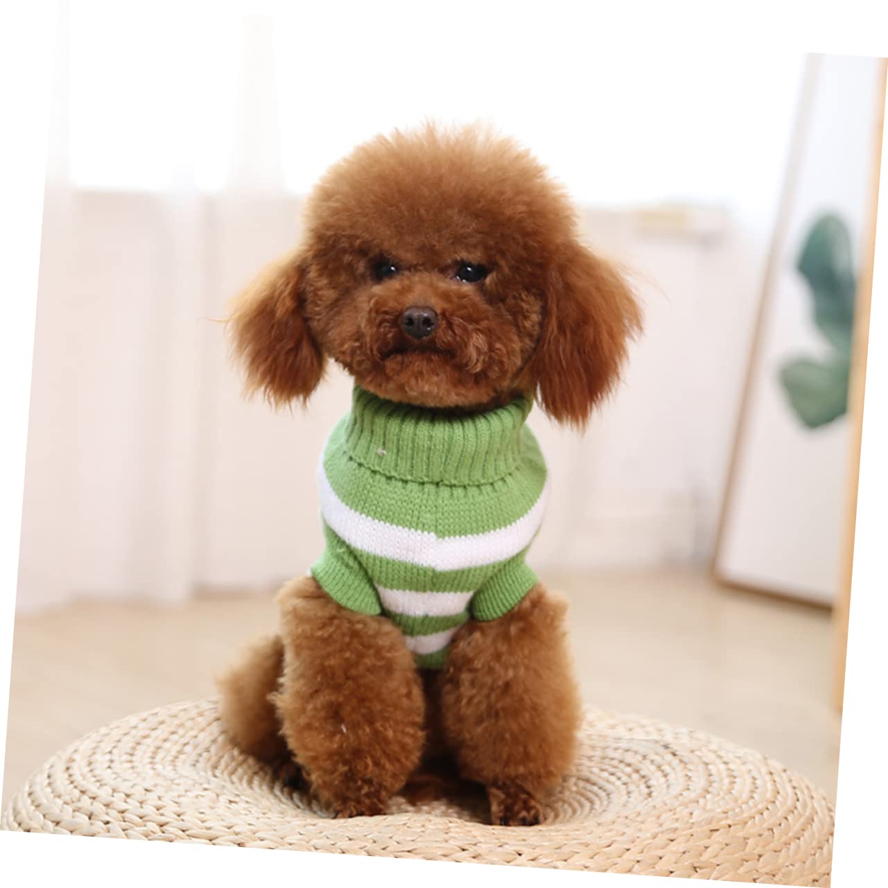 BESPORTBLE 3 Pezzi Di Vestiti Per Animali Domestici Maglione Per Cani Maglione Per Animali Domestici Costume Da Festa Per Animali Vestiti Per Cani Da Festa Panno Per Cani Vestiti Da Festa