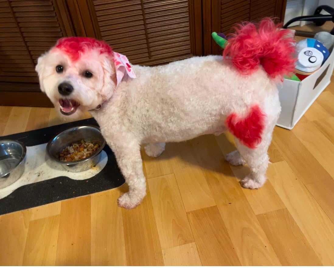 Stella & Chewy's Freeze-Dried Raw Dinner Patties - Chicken Recipe - High Protein Grain-Free Puppy & Dog Food - Perfect For Picky Eaters - 14 oz photo review