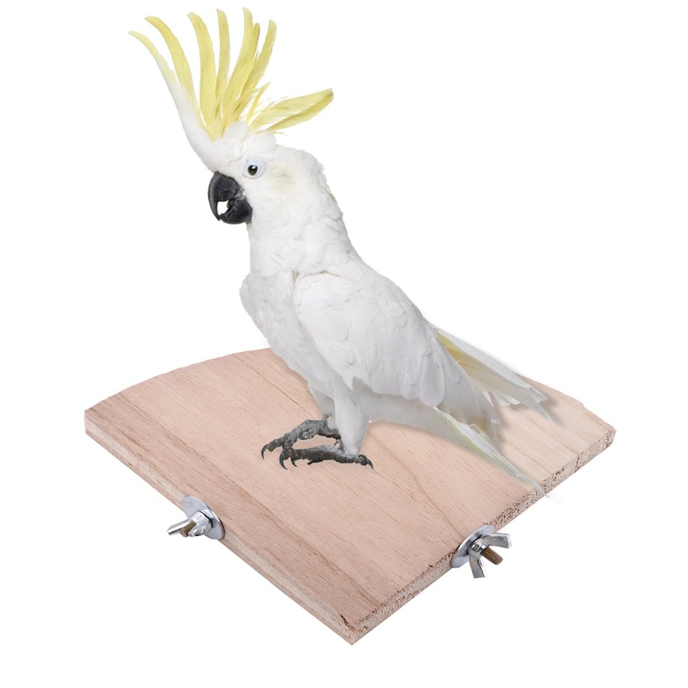 Vogelsitzstange Aus Natürlichem Holz – 13 Cm Große Sitz- & Spielplattform Für Käfige, Für Vögel & Kleintiere
