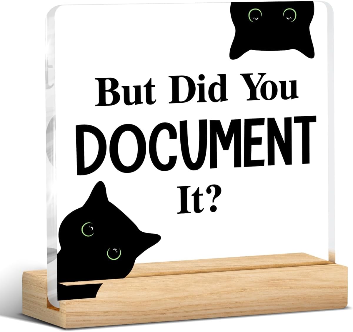 But Did You Document It Office Sign Funny Office Gift for Boss Friend Coworker HR Black Cat Acrylic Plaque Sign for Cubicle Home Cat Lover Gifts
