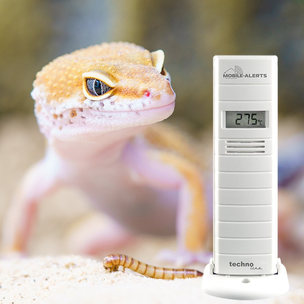 Technoline Temperaturüberwachung, Luftfeuchteüberwachung von Terrarium/Gewächshaus, MA 10200 + Gateway, Set, Mobile Alerts, weiß, 3.8 x 2.1 x 12.8 cm