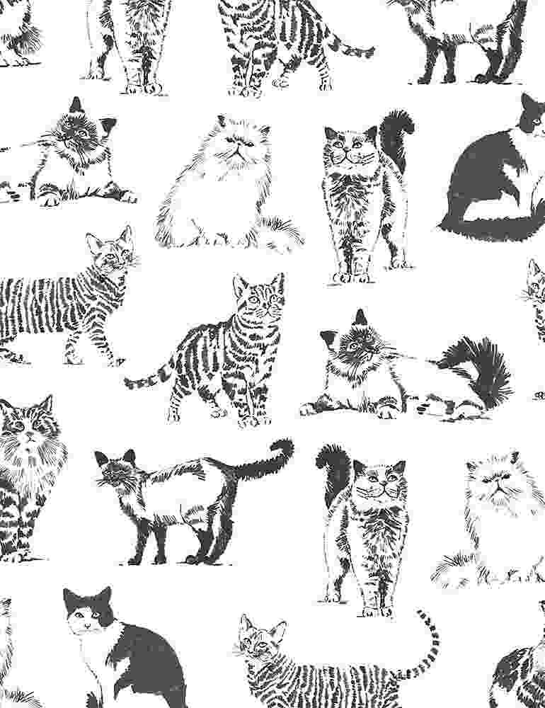 Fat Quarter Sketched Cats 100% Cotton Quilting Fabric - Timeless Treasures