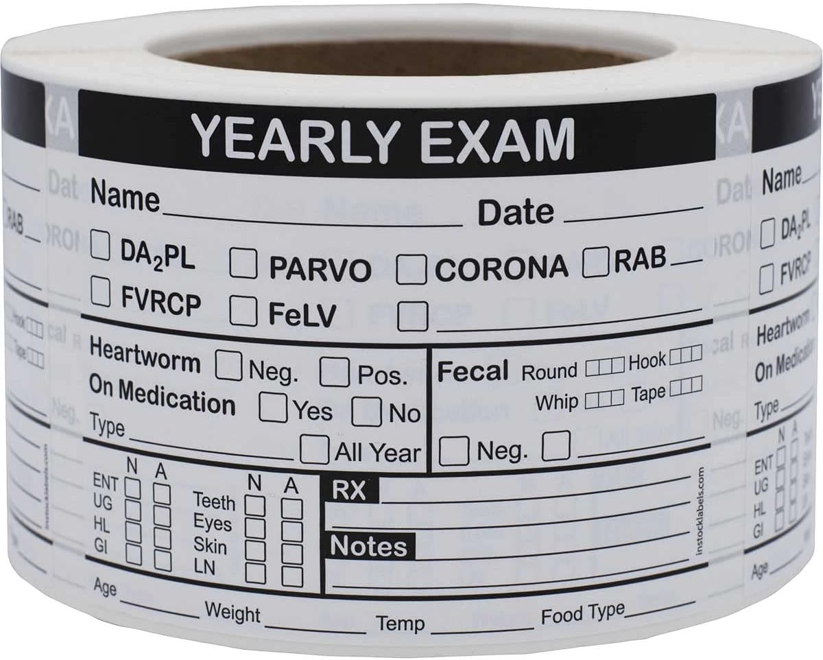 Yearly Exam Veterinary Labels 3 x 4 Inch 100 Total Stickers