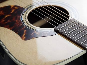 Amazon | HISTORY NT-L3 Natural アコースティックギター 日本製 PU