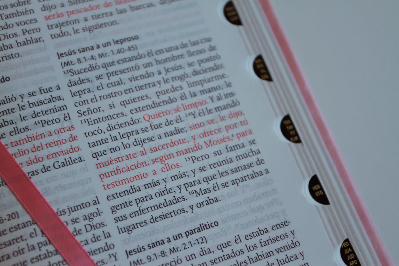 Biblia RVR 1960 letra grande tamaño manual, Piel rosada con índice / Spanish Bible RVR 1960 Handy Size Large Print Leathersoft pink with index: ... Piel Rosada / Reina-Valera 1960 Leathersoft