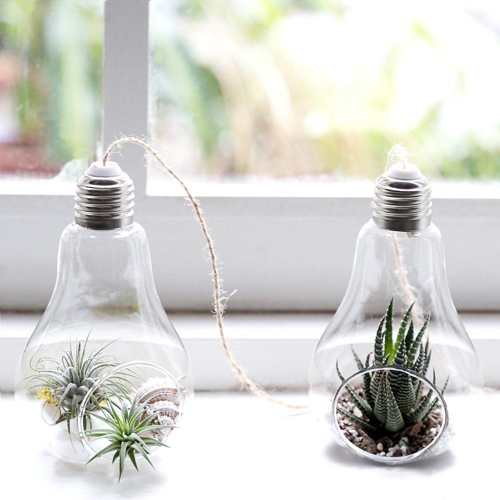 Sotoboo 3 Pack Creative Hanging Bulb Glass Terrarium Plant Vase Glass Display Planter Flower Pot Box for Cactus Fern Moss Succulent Air Plant Holder - Image 3