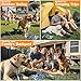 YiizKilc Dog Tie Out Cable and Stake,Heavy Duty Stakes for Outside,20FT Tangle-Free Runner for Yard, 360° Swivel Anchor for Dogs Up to 150 lbs, Stake for Dog Leash Ideal for Outdoor and Camping