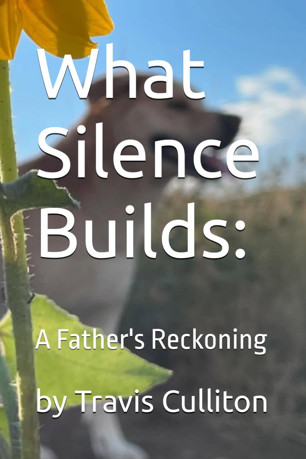 What Silence Builds: A Father's Reckoning