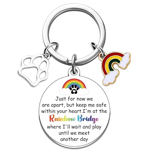 Rainbow Bridge Dog Memorial Gifts for Loss of Dog Pet Memorial Gifts for Dogs Lembrance Keychain Pet Loss Sympathy Gift Dogs Passing Away Gift Losses of Pets Sympathy Keyring