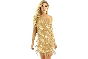 Women's Sequin Tassel Dance Costume Samba Rumba Tango Dress 1920s Flapper Cocktail...