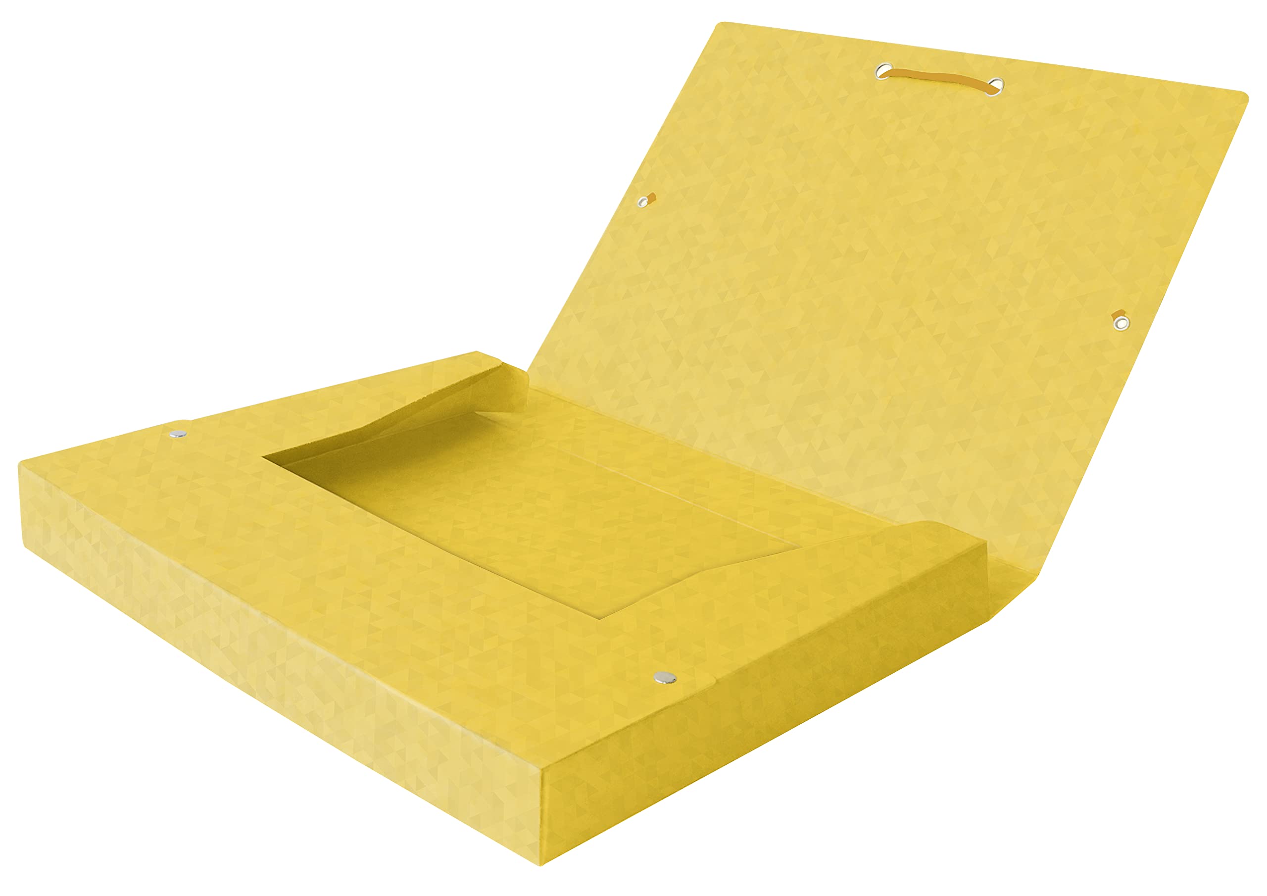 Oxford Scatola da collezione A4, Top File +, in cartone, larghezza dorso 2,5 cm, 5 colori, 12 pezzi