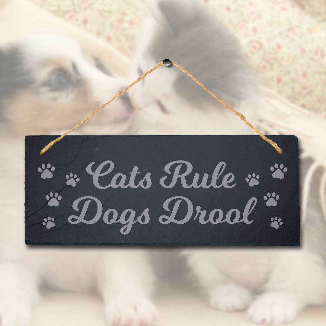 Stukk Pet Funny Laser Hanging Kitten Kennels Pup Puppy Home (Cats Rule Dogs Drool), Natural Engraved Slate Stone Plaque