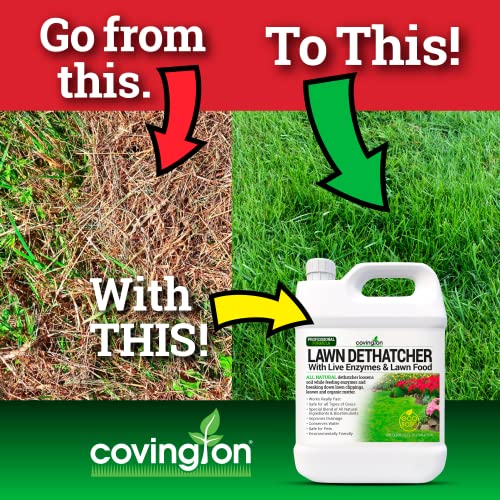 Covington Liquid Lawn Dethatcher, Liquid Aerator Aerating Soil Loosener to Condition Compacted Soil, Humic Grass Thatch Remover Buster, Kid and Pet Safe, 32 Oz - Thumbnail 2