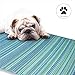 Fab Habitat Outdoor Rug - Waterproof, Fade Resistant, Crease-Free - Premium Recycled Plastic - Striped - Patio, Deck, Porch, Balcony, Laundry Room - Cancun - Turquoise & Moss Green - 4 x 6 ft