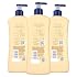 Vaseline Intensive Care Nourishing Moisture Body Lotion 3 Pk Made with Ultra-Hydrating Lipids + Pure Oat Extract for Dry Skin, for Nourished, Healthy-Looking Skin 20.3 oz