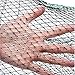 Persei Collapsible Fishing Trap Net Cast Mesh Landing Bait Net for Crab Shrimp Minnow Crawfish Catfish (Large : 23.6