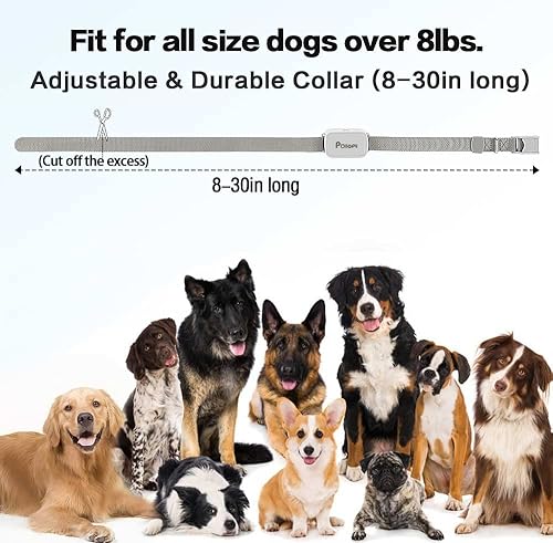 Miniatura 6 de Collar de entrenamiento para perros de citronela con control remoto y 2 receptores. No puede funcionar automáticamente, 3 modos de