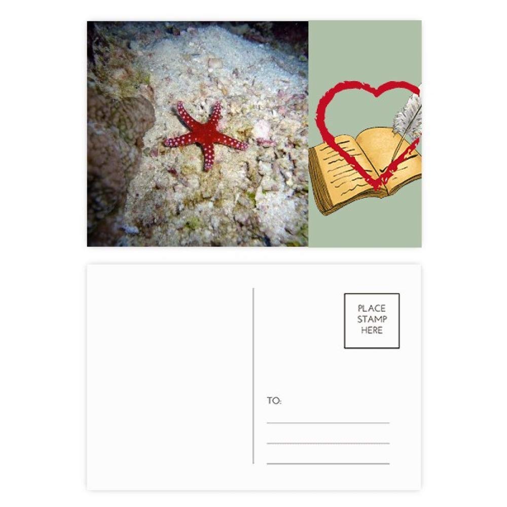 Ocean Water Starfish Nature Lot de 20 cartes postales de remerciement Motif étoiles d'océan