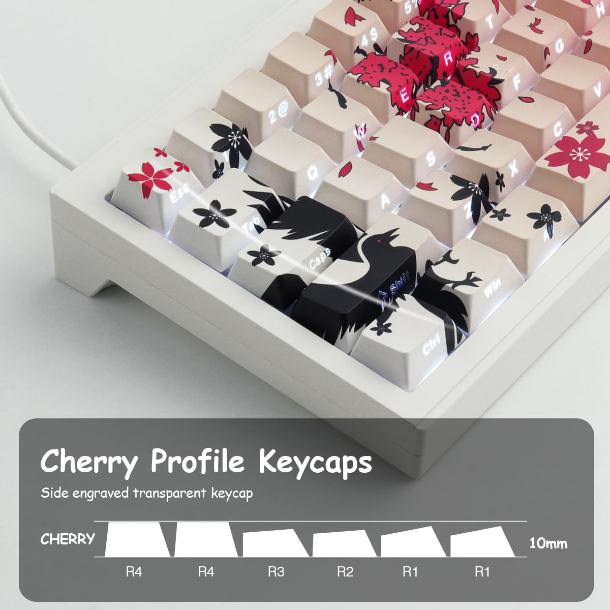 JakeTsai Keycaps, 135 tasti a Sublimazione con profilo ciliegio, incisi lateralmente, trasparenti, set di Keycap per Switch Cherry MX layout ASIN/ISO Tastiere Meccaniche
