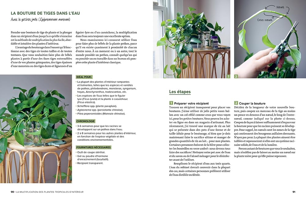 Le guide de la multiplication des plantes d'intérieur - Toutes les techniques pour en prendre soin et les multiplier à l'infini