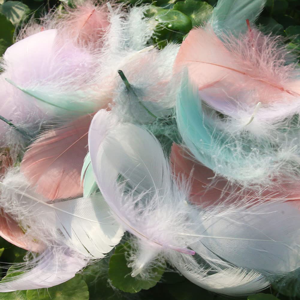 400 Pièces Plumes Naturelles Pour Artisanat - Décoration Mariage, Masques, Attrape-Rêves, Plumes D'Oie 6-12cm