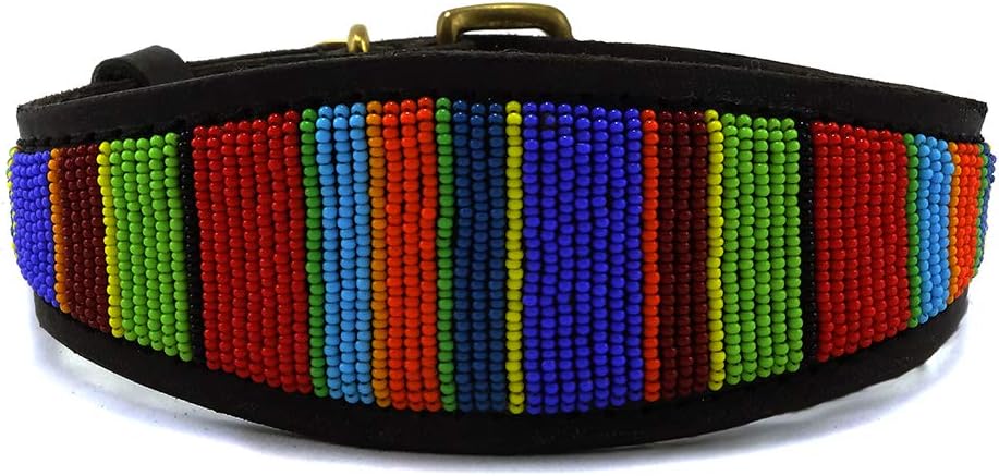 Malulu Digo Lurcher Buckle Small Dog Collar