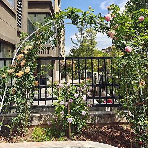 Arche de mariage pour décoration de cérémonie en extérieur