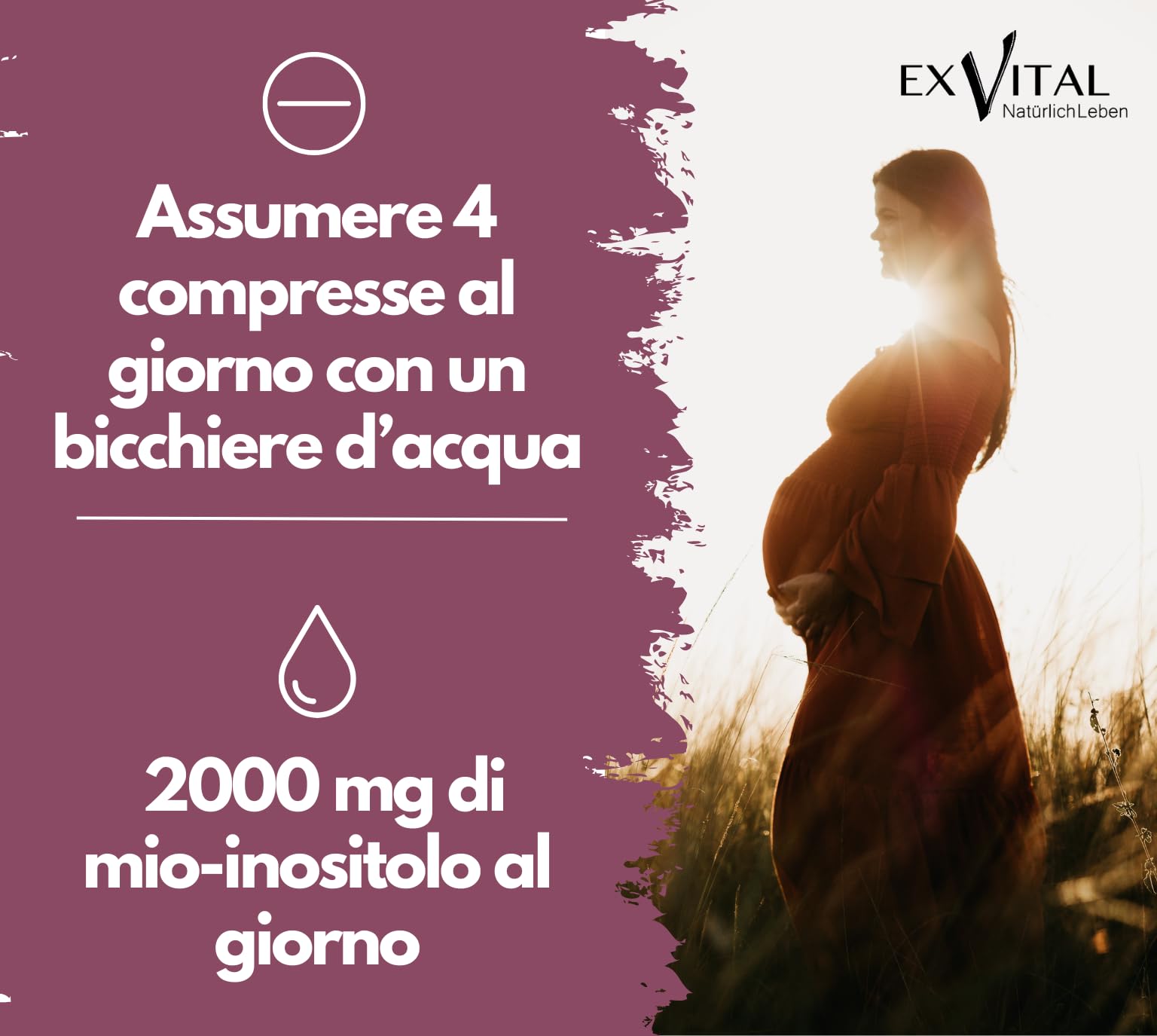 Inositolo, combinato in modo ideale con acido folico, 180 compresse, puro mio-inositolo, ad alto dosaggio: 2000 mg e 400 μg di acido folico al giorno, vegano e senza additivi!