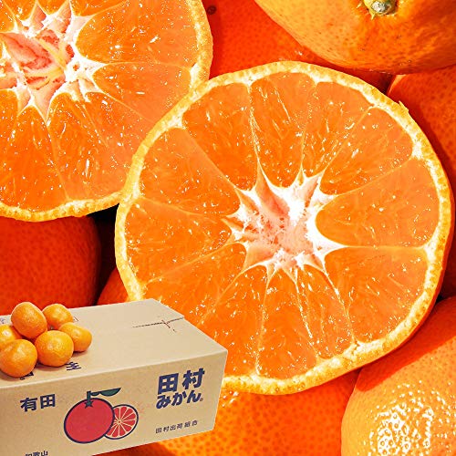 ݂ c݂ ԏG 5kg 2LTCY 35 coבg a̎RY ~J t[c ʕ O