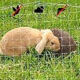 lionto B084WSVJKG lato 4