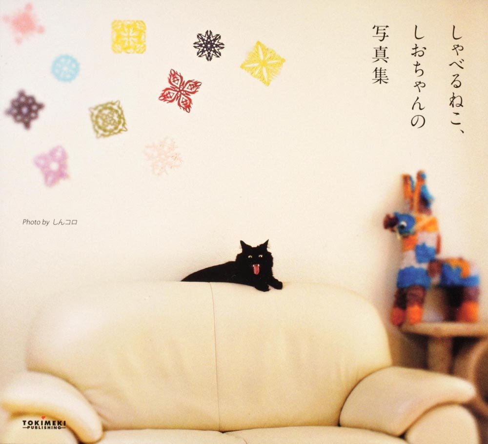 しゃべるねこ しおちゃんの写真集 しんコロ 本 通販 Amazon