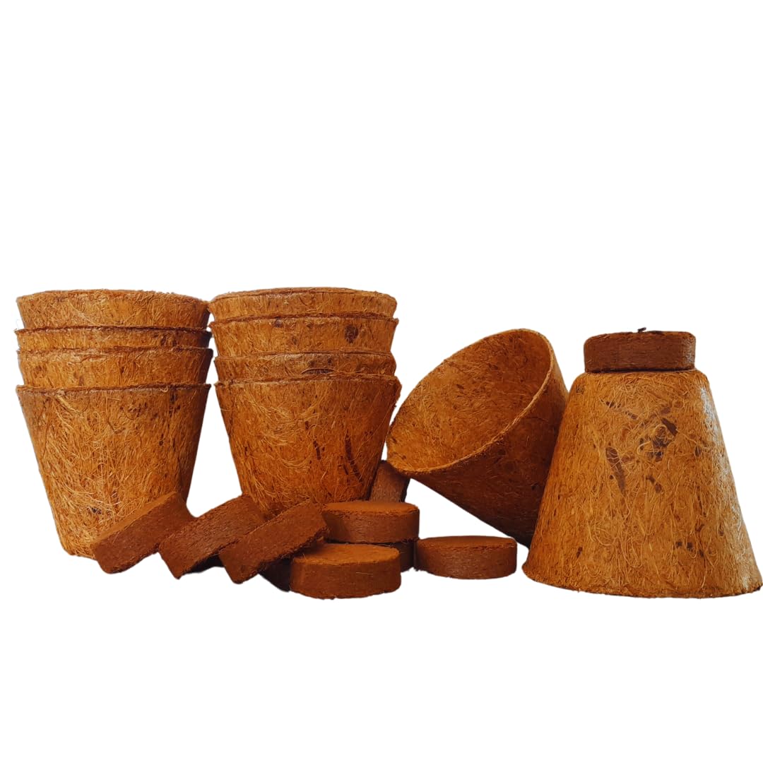 Anns DecorBay 10 Natural Coir Pots & Cocopeat Coins for Indoor/Outdoor Herbs, Seedlings & Succulents - Eco-Friendly Choice (B0CQGFKD4M) Amazon Price History, Amazon Price Tracker