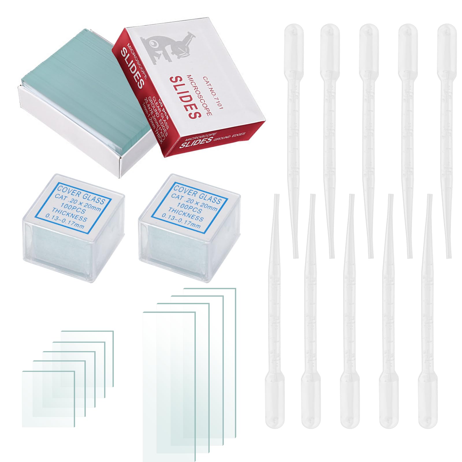 BEELUKY Pack of 50 Pre-Cleaned Microscope Slides (25.4 x 76.2 mm) and 200 Microscope Cover Glasses (20 x 20 mm) with Dropper Microscope Accessories for Laboratory Biology Study and Sample Preparation