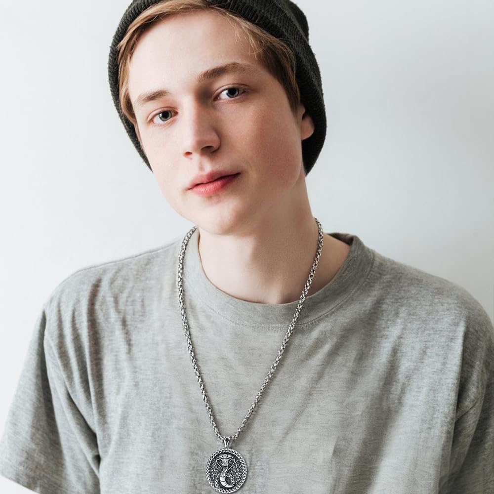 Snake Necklace Men's Pendant Chain zircon brass Animal Spirit Snake Gothic Retro Vintage style Jewelry With gift box - Image 5