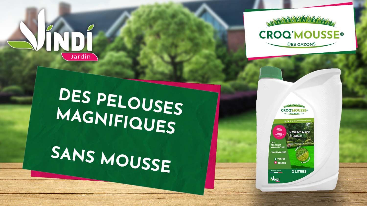 VINDI JARDIN - CROQ'MOUSSE des gazons – Engrais liquide organo-minéral 3 en 1 – Pelouse « sans mousse/+verte/+dense » - bidon 2L – Traitement pour 200m2 – Fabrication Française.