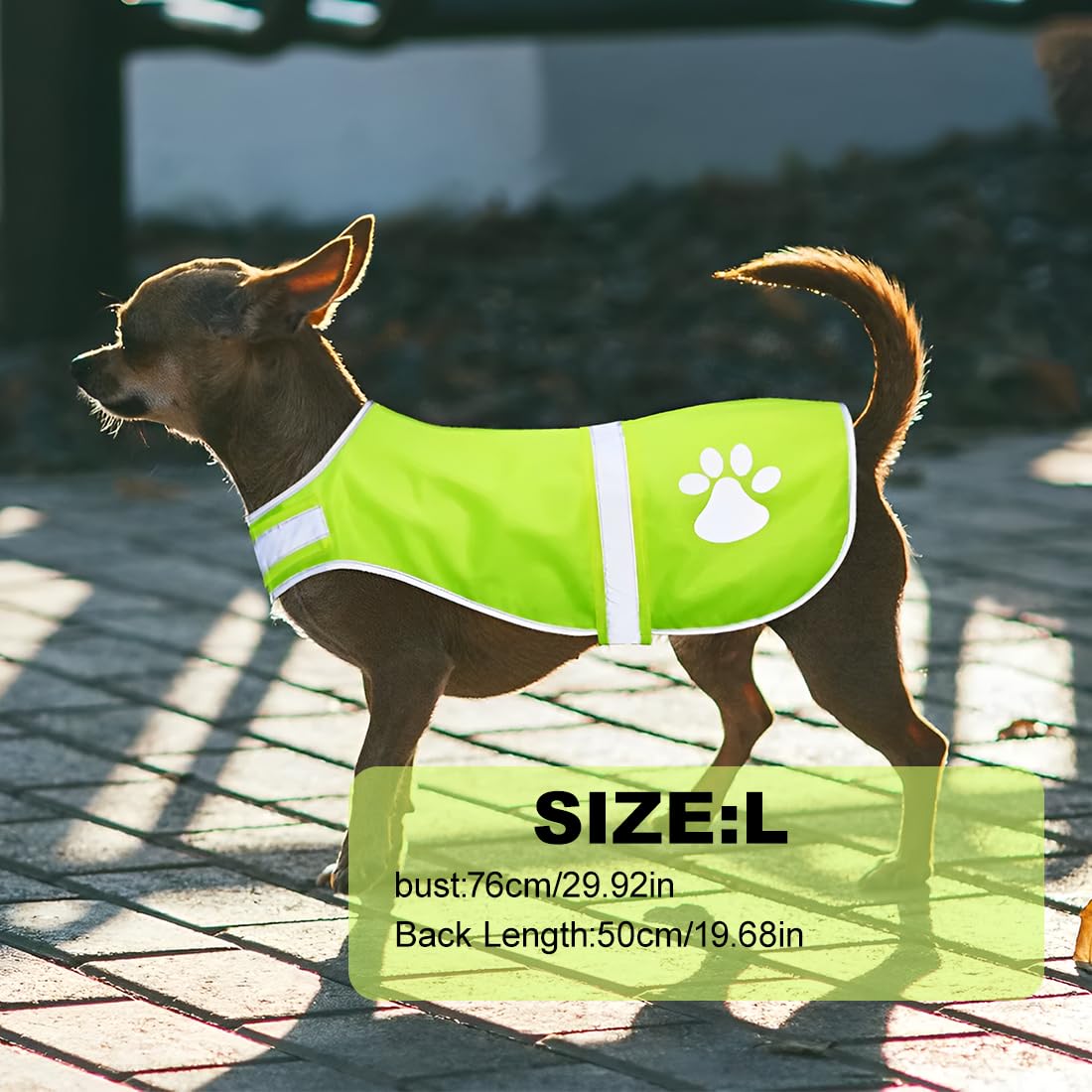 iubbotti di sicurezza per cani Giubbotto riflettente per cani, gilet di sicurezza ad alta visibilità per cani, impermeabile, leggero, comodo (taglia L)