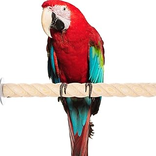 POPETPOP 4pcs Bird Claw Stick Wooden Trains Small Bird Toys Wooden Playset Wood Bird Cage Perch Bird Perch Wood Bird Perch Rod Bird Toys for Parakeets Parrot Toy Parakeet Toy Bird Nest