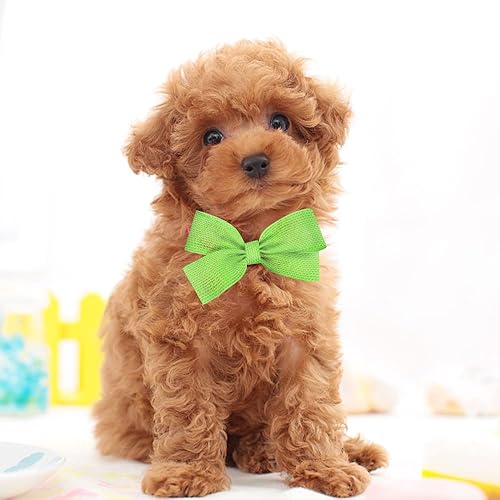 Miniatura 5 de Cintas de arpillera con alambre verde de 2.5 pulgadas, 10 yardas, decoración de borde con alambre sólido de resorte, cinta de tela para