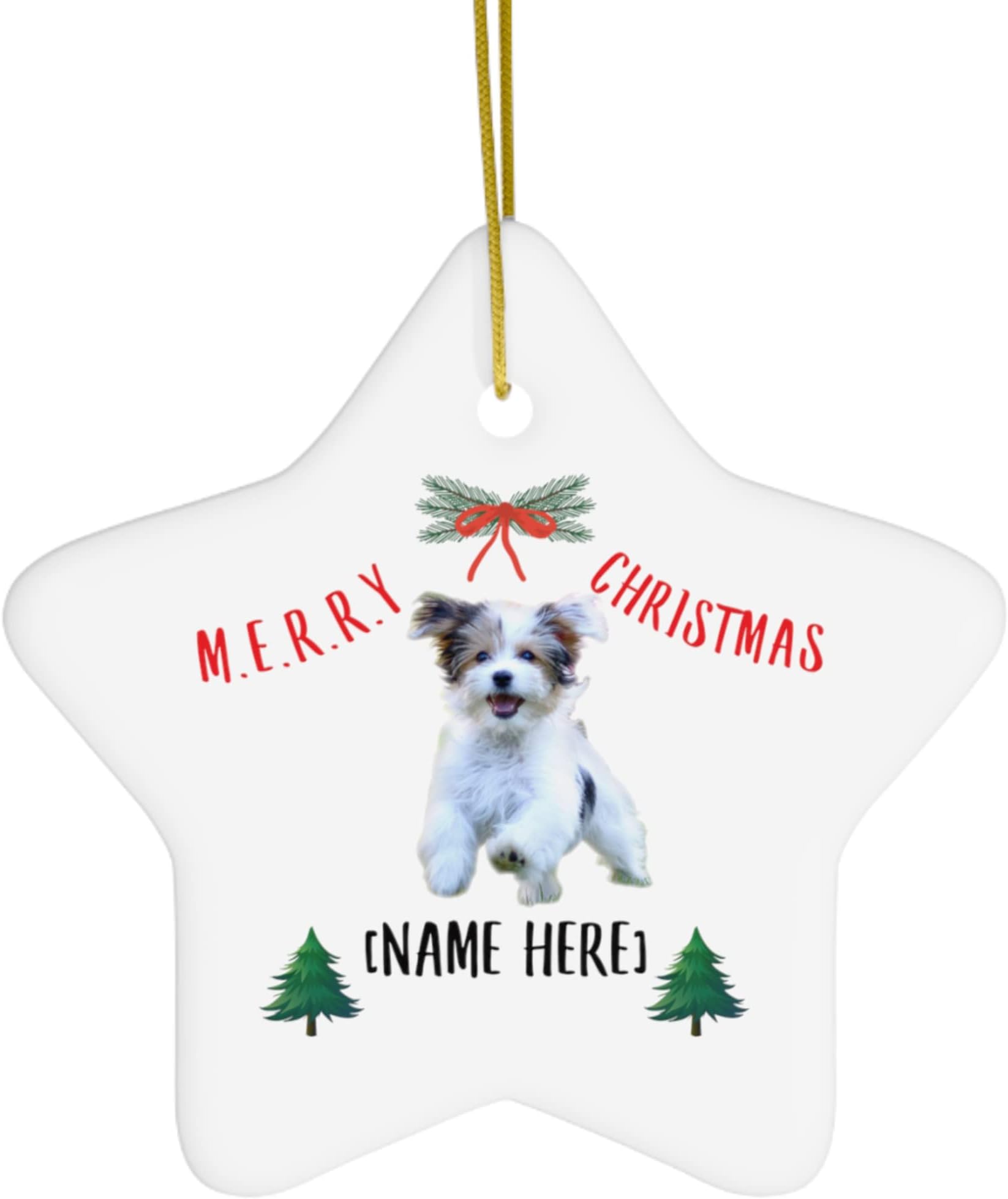 Personalized Name Havanese Dog Tri Color 2023 Christmas Tree Ornaments Gifts New Years 2024 Decorations Star Ceramic
