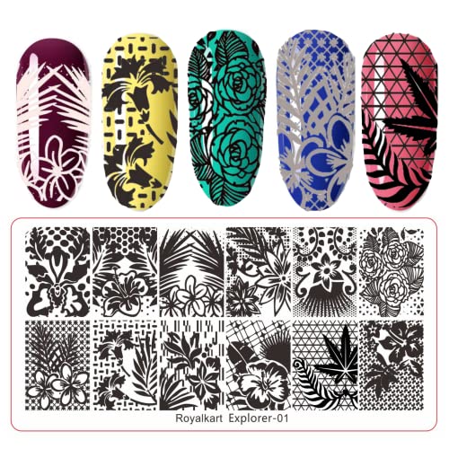 Royalkart Nail Art Kit For Women Professional|5 Dotting Pen|Stamping Plate,French Nail Stamper,Scraper,Nail Art Buffer,Fimo Clay Wheel,Finger Tip Guide|Nail Art Tools (Explorer-01) - Image 2