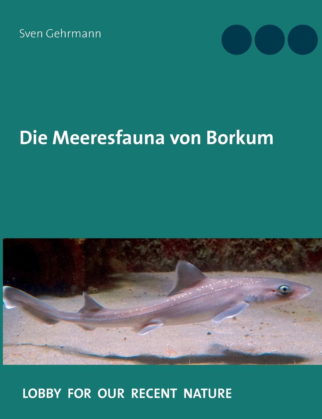 Die Meeresfauna von Borkum: Was lebt im Meer rund um die Insel?