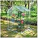 Serre de Jardin PE Plastique Tente abri Garden Greenhouses Promenade dans la serre avec étagères, grande maison verte renforcée avec cadre en acier tubulaire, 2 étagères Heavy Duty House House