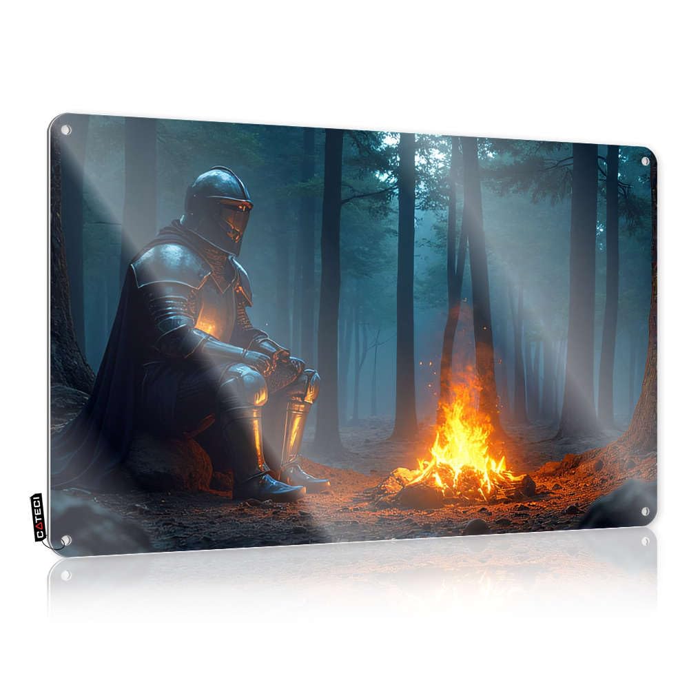 Fzfn Colour Stuff Tin Wall Decor Sweet | Knight Sitting By Campfire In Forest Inappropriate Dining Decoration(30X40cm)
