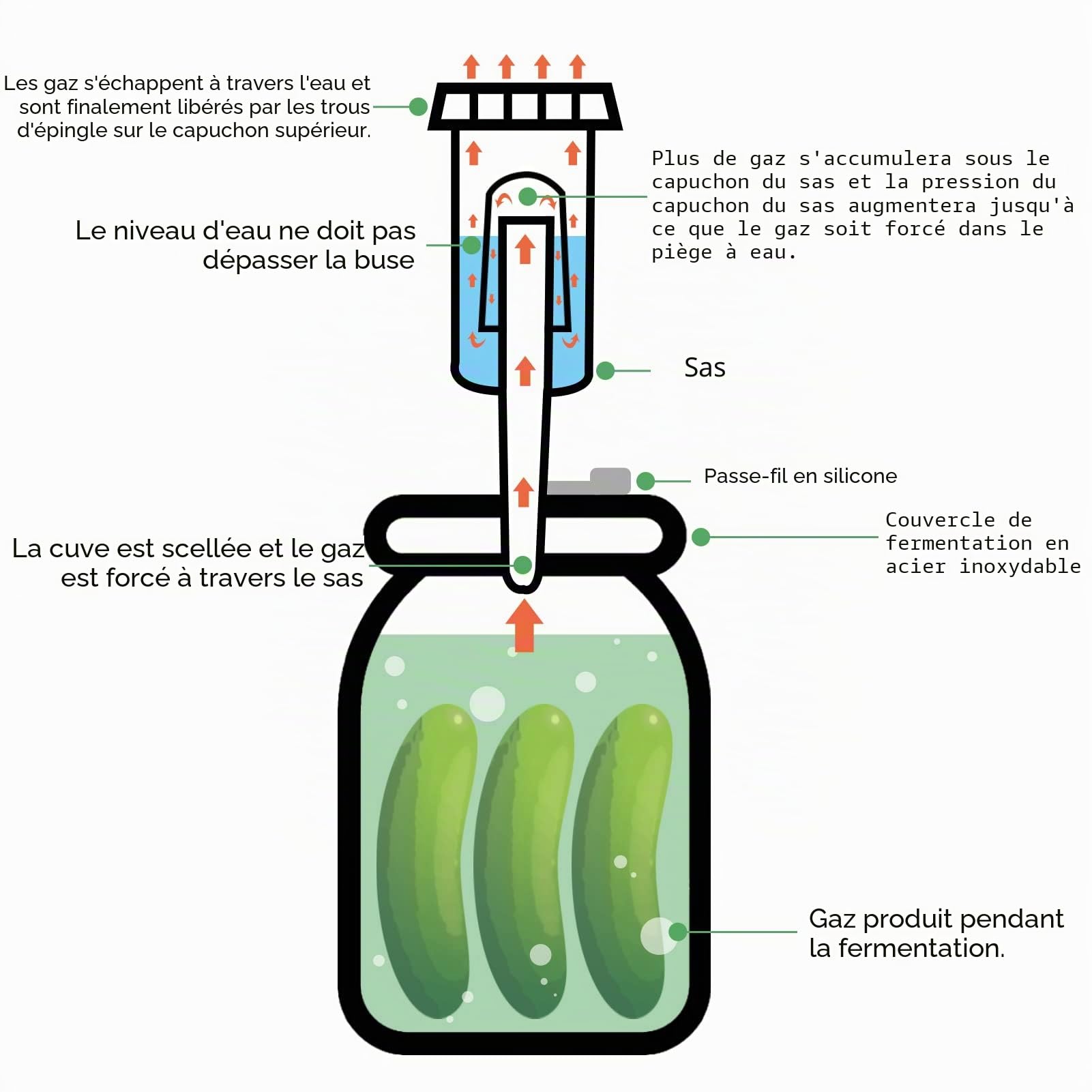 Artcome Kit de fermentation 28 pièces : 5 couvercles en acier inoxydable, 5 poids en verre, 5 sas, 6 anneaux, 6 œillets, 1 pince pour bocaux