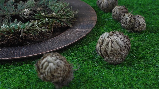 Nuanchu 12 Pack Rose of Jericho Planta de Resurrección Secada miniatura 7