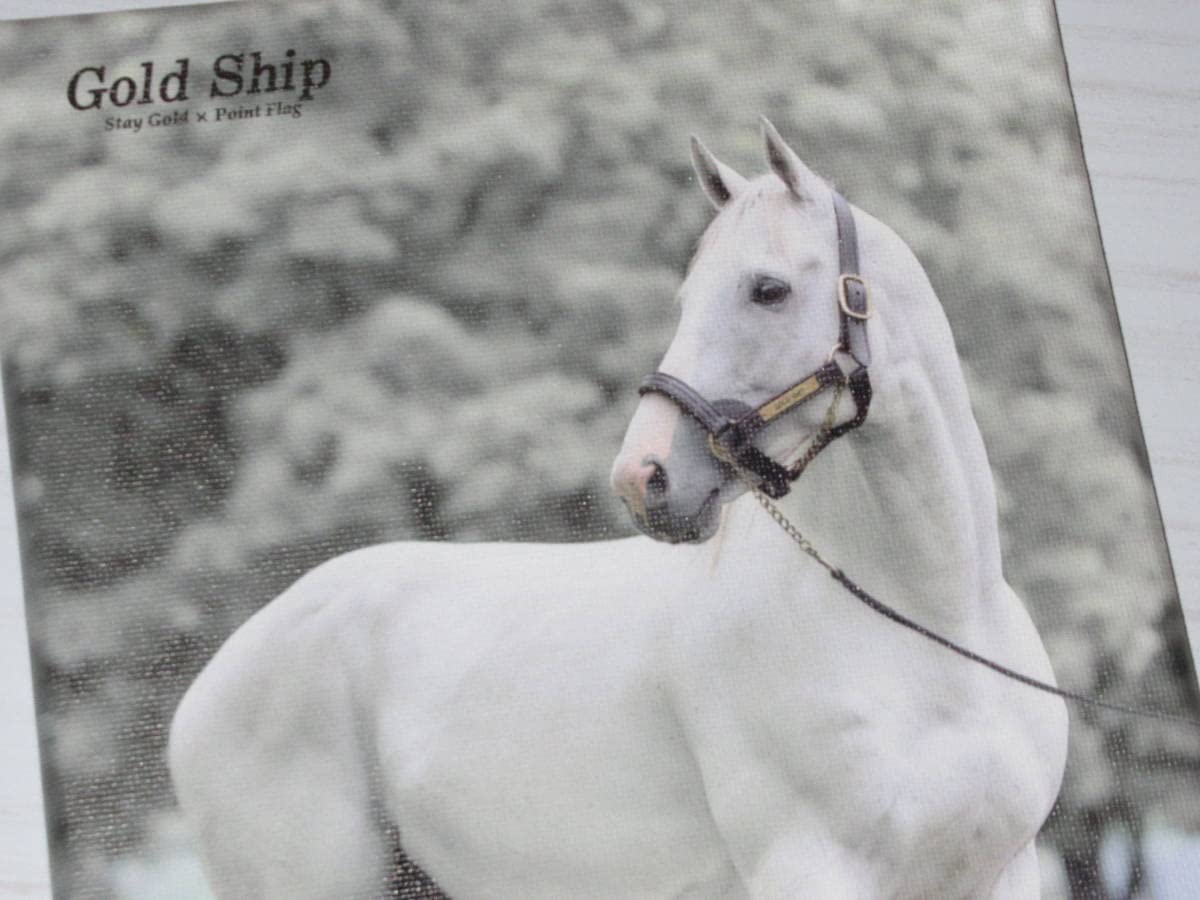 Amazon.co.jp: 匿名 GOLD SHIP ゴールドシップ キャンパスボード 18×18